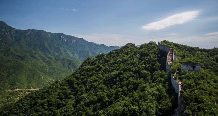 Sección cubierta de vegetación de la Gran Muralla extendiéndose a lo largo de una cresta densamente boscosa