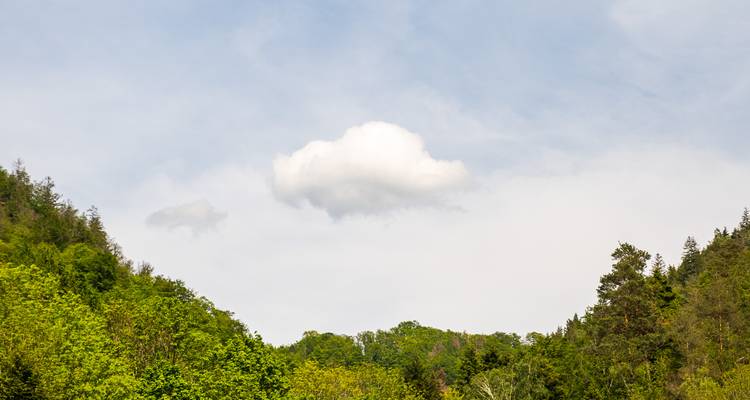 Un seul nuage blanc et cotonneux au-dessus de collines couvertes d'arbres sous un ciel pâle.