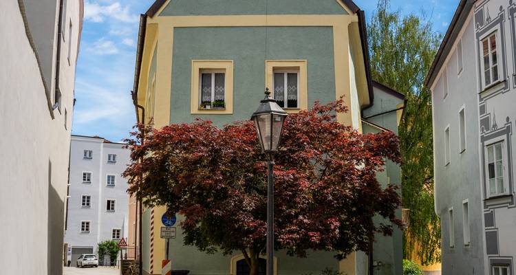 Ruelle étroite avec des bâtiments aux couleurs pastel et un arbre ornemental sous un ciel bleu.