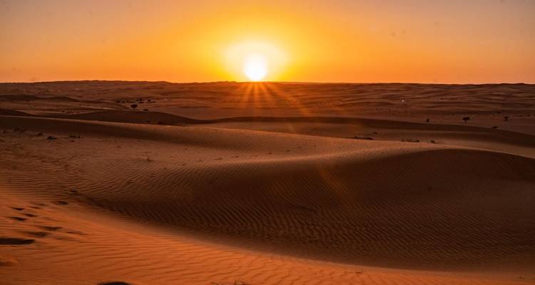 Les dunes de sable ondulantes rougeoyant d'une teinte orangée sous le soleil levant dans le désert des sables de Wahiba.