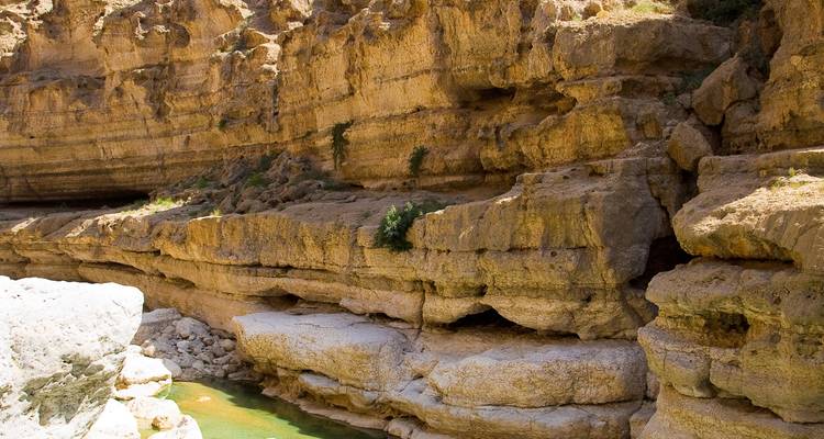 Les falaises de grès en couches et les bassins d'eau émeraude à l'intérieur du canyon de Wadi Bani Khalid.