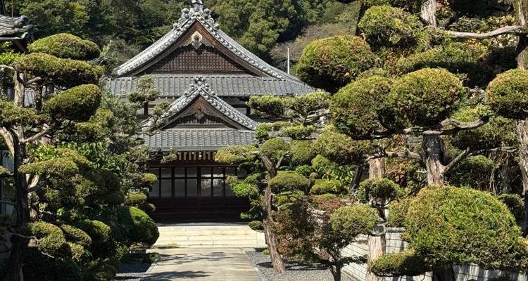Traditioneller japanischer Tempel, umrahmt von sorgfältig beschnittenen Bäumen unter hellem Licht.