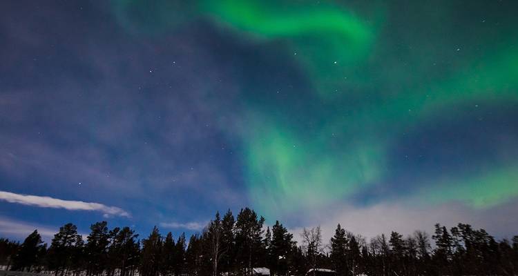 Green aurora swirls across a dark blue Arctic night sky above silhouetted pine trees.