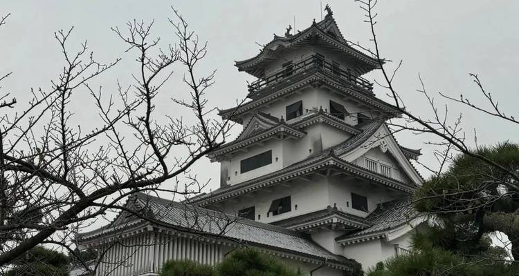 Ein weißer japanischer Burgturm erhebt sich hinter kahlen Winterästen unter grauem Himmel.