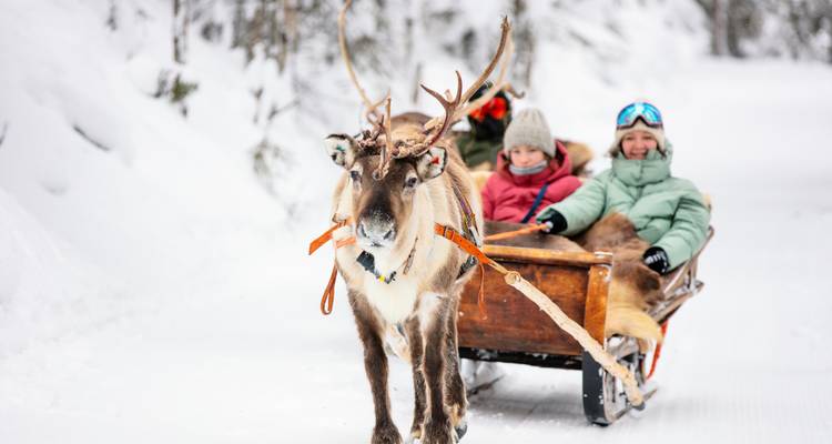 Rendieren die een houten slee met een warm geklede familie trekken door een sneeuwspoor in Lapland.