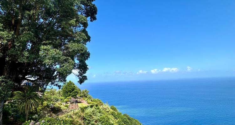 Vibrant blue Atlantic vista framed by lush greenery and towering trees on a sunny day.