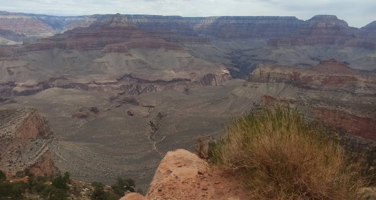 Broad, layered expanse of the Grand Canyon with muted colors under hazy skies, desert scrub in foreground.