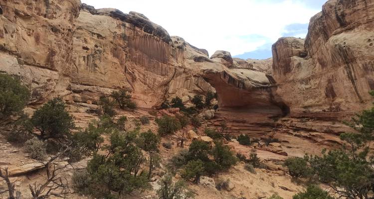 Natural stone bridge and towering beige and pink cliffs with scattered junipers in Capitol Reef.