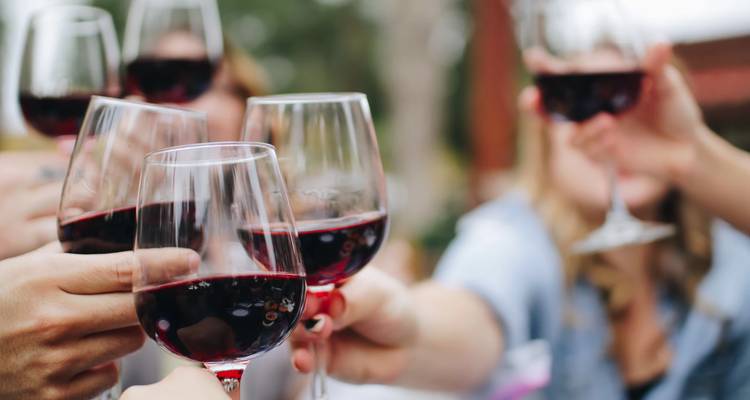 Grupo brindando con copas de vino tinto en un ambiente social al aire libre.