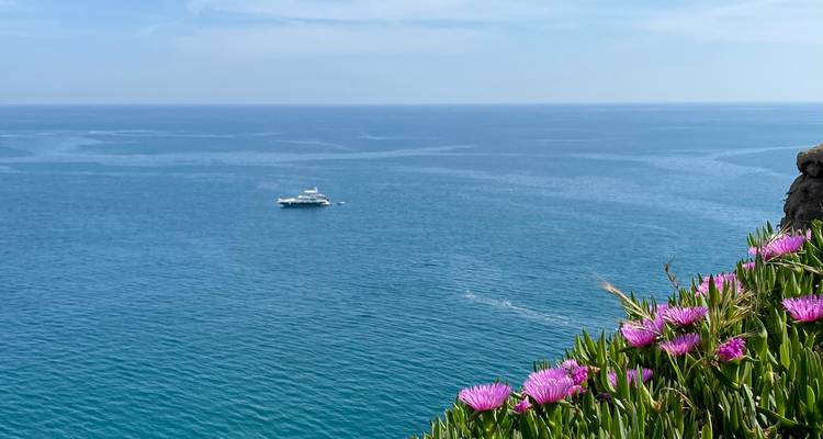 Vaste étendue bleue de la mer Méditerranée avec un yacht solitaire et des fleurs côtières roses au premier plan
