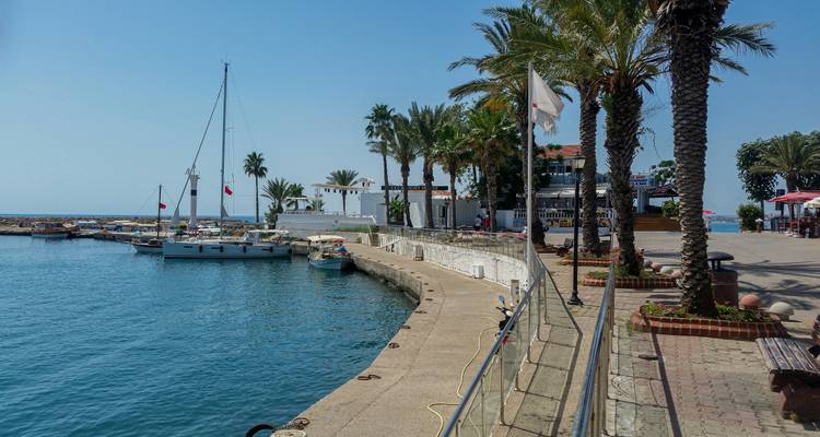 Marina con veleros, palmeras, paseo marítimo y agua azul cristalina bajo un cielo soleado.