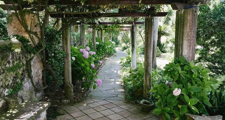 Weelderig tuinpad omzoomd door houten pergola en bloeiende hortensia's die uitnodigt tot het groen.