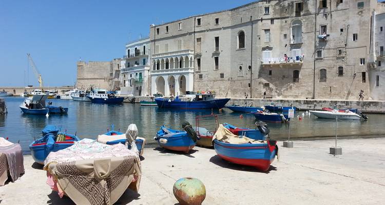 Port ensoleillé avec des bateaux de pêche bleus amarrés et des bâtiments historiques en bord de mer, du linge qui flotte sur les balcons