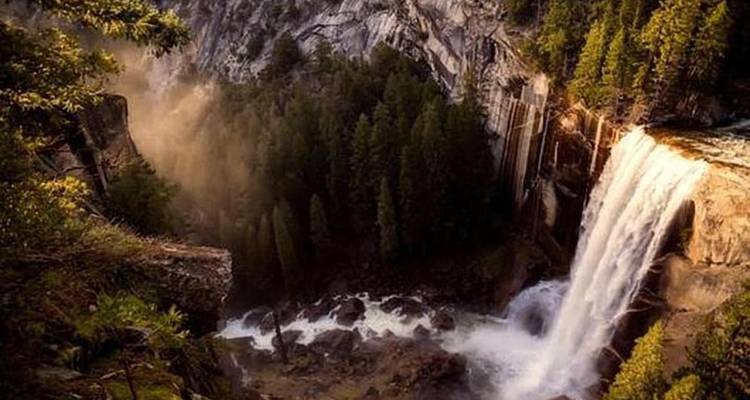 Une puissante cascade se jette dans une gorge forestière du parc national de Yosemite.
