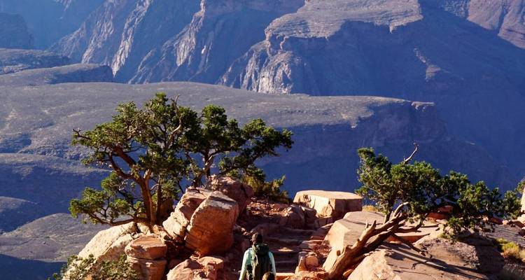 El senderista observa una meseta de cañón rocoso salpicada de pequeños árboles.