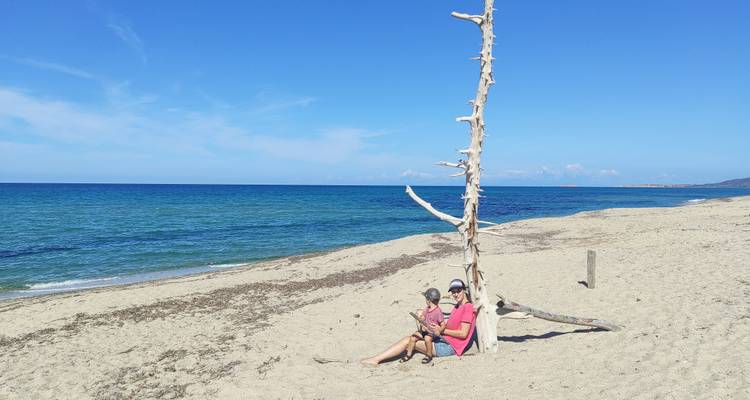 Un couple se détendant contre un tronc de bois flotté imposant sur une large plage de sable fin à côté d'une mer turquoise cristalline.