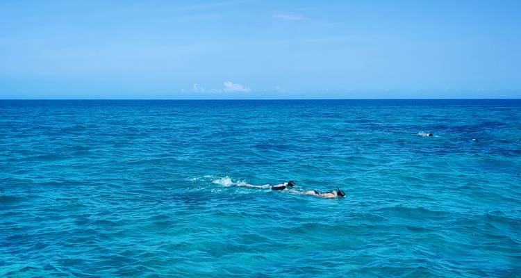 Deux plongeurs en apnée flottent au-dessus d'une eau océanique turquoise cristalline par une belle journée ensoleillée.