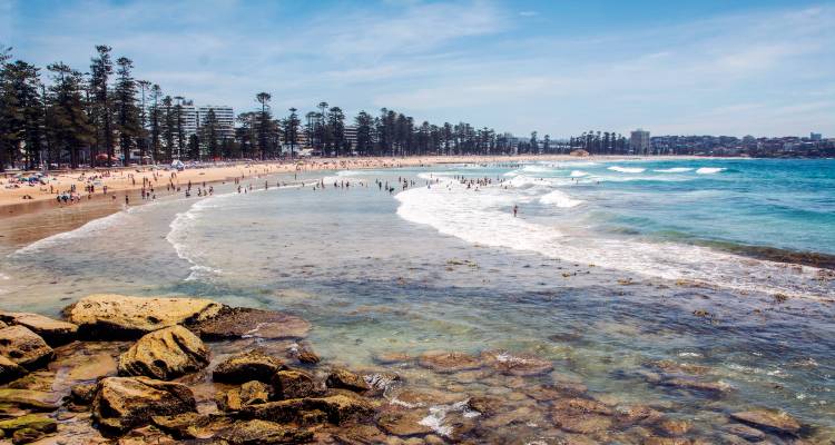 Les vagues agitées et le sable doré s'incurvent le long de la plage de Manly, bordée par de grands pins.