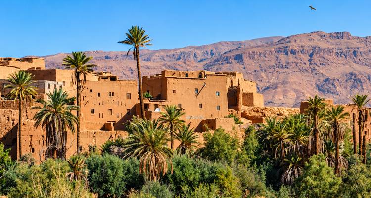 Las tradicionales kasbahs de adobe se alzan entre altas palmeras con montañas escarpadas de fondo.