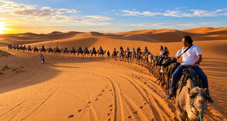 Una larga caravana de camellos serpentea a través de las dunas del desierto brillantes al atardecer, guiada por un guía a caballo.