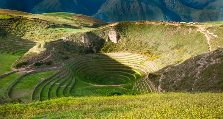 Vue panoramique des terrasses agricoles inca concentriques de Moray baignées de lumière solaire avec les montagnes en arrière-plan