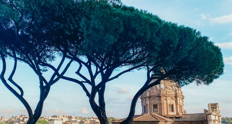 Parasoldennen die een historisch Romeins koepel tegen een heldere lucht omlijsten.