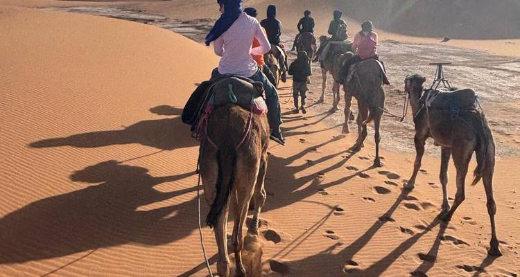 Les voyageurs chevauchent des chameaux en file indienne, projetant de longues ombres sur le sable doré.