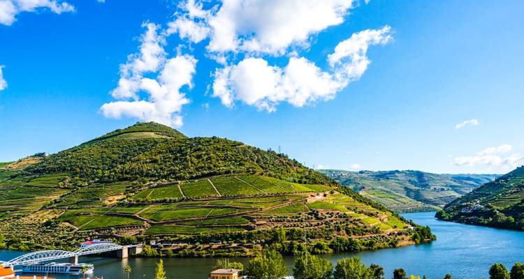 Groene terrassen van wijngaarden vallen in trappen af langs glooiende heuvels naast de kronkelende Douro-rivier onder een strakblauwe hemel.