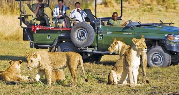 Véhicule de safari décapotable avec des touristes observant une fierté de lions se reposant sur les plaines herbeuses.