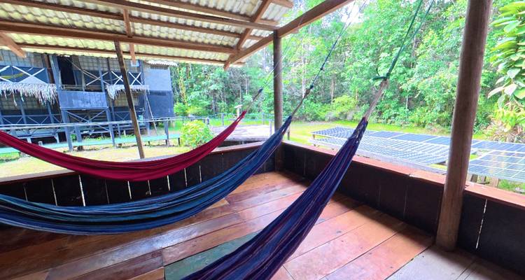 Des hamacs colorés suspendus sur une terrasse en bois couverte dominant la luxuriante forêt tropicale amazonienne