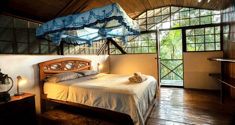 Chambre de lodge rustique avec baldaquin à moustiquaire bleue, planchers en bois et vue sur la jungle