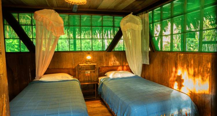 Chambre à deux lits dans une cabane en bois avec fenêtres teintées de vert et moustiquaires suspendues
