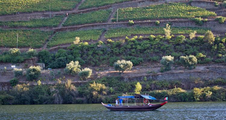 Petit bateau en bois glissant le long du fleuve Douro sous les terrasses de vignobles en étages