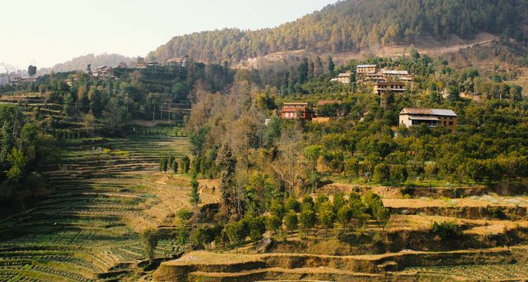 Üppige terrassierte Reisfelder und verstreute Bauernhäuser bedecken ein Hügeltal im ländlichen Nepal.
