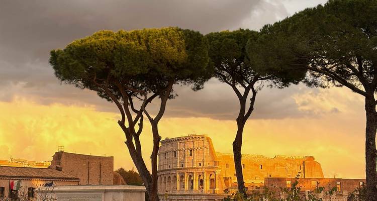 Le Colosseum brillant à la lumière de fin d'après-midi encadré par des pins parasols et des nuages dramatiques