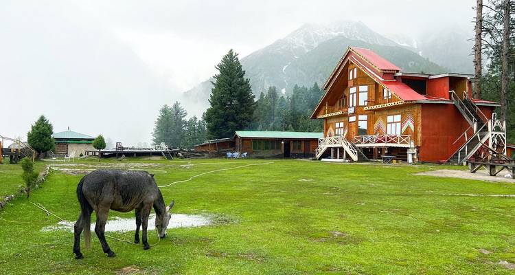 Un burro pastorea en el pasto verde frente a una cabaña de madera colorida bajo montañas brumosas.