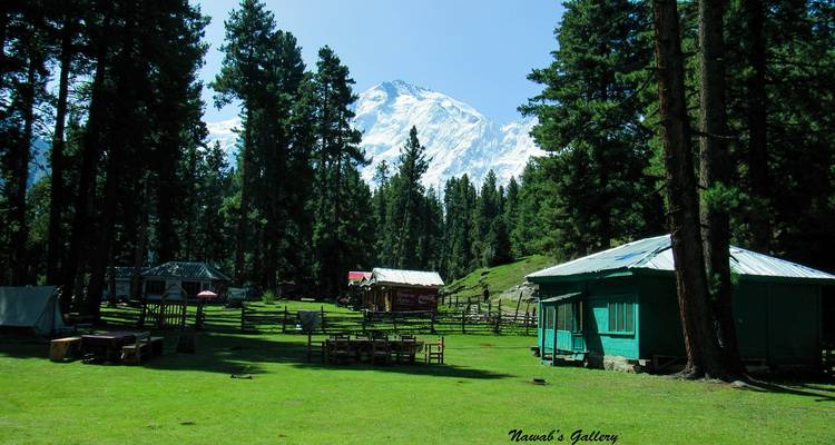 Un claro cubierto de pasto con mesas de picnic y cabañas de madera bajo pinos gigantes y una montaña cubierta de nieve.