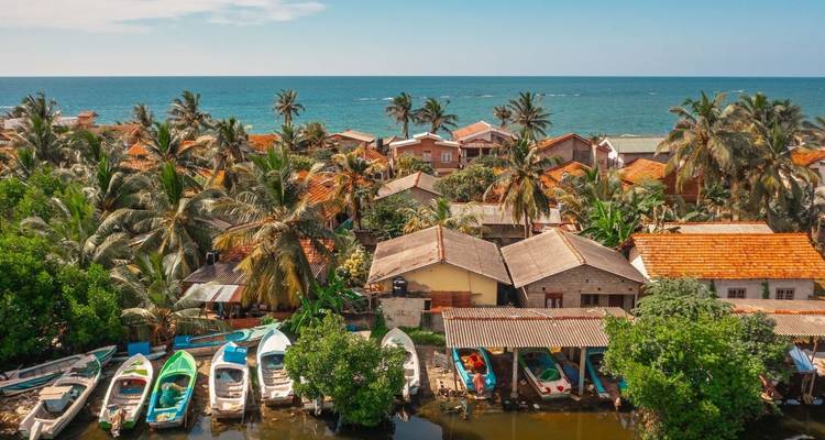 Établissement côtier avec des bateaux colorés amarrés près de palmiers et de toits en terre cuite.