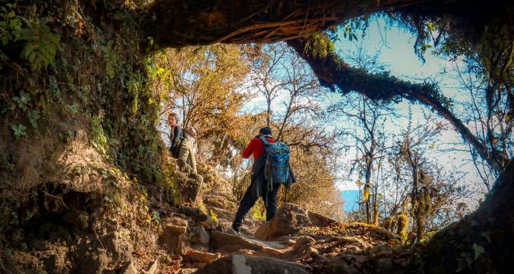 Deux randonneurs avec des sacs à dos entrent sur un sentier forestier encadré par des racines d'arbres et une lumière du soleil tachetée dans l'Himalaya.