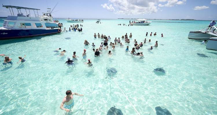 Des foules se baignant dans une eau cristalline peu profonde entourées de raies au cours d'une excursion sur un banc de sable.