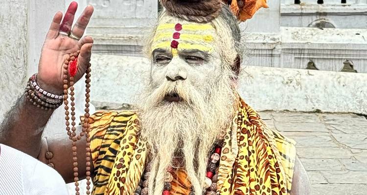 Sadhu barbu au visage peint, portant un chapelet de prières et un châle à motif tigre, lève la main en signe de bénédiction.
