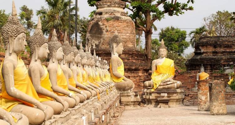 Larga fila de estatuas de Buda de piedra envueltas en túnicas azafrán junto a estupas de ladrillo antiguo y árboles.