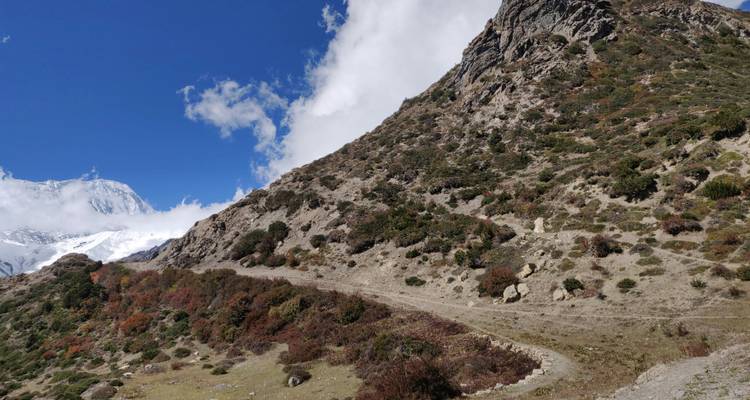 Un sentier de montagne sinueux traverse une pente rocheuse couverte d'arbustes avec des sommets enneigés et un ciel bleu éclatant au-dessus.