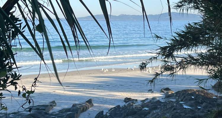 Encadré par des frondes de palmiers, une plage de sable tranquille avec des vagues douces et des collines lointaines à travers les eaux bleues.