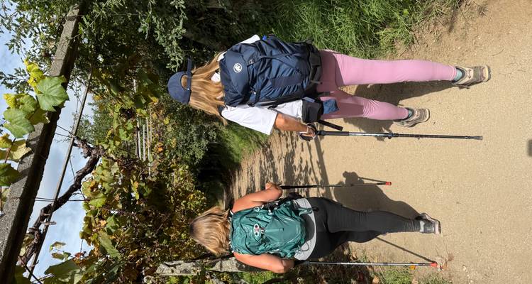 Deux femmes avec des bâtons de randonnée marchent sur un sentier ombragé bordé de treillages de vignoble.
