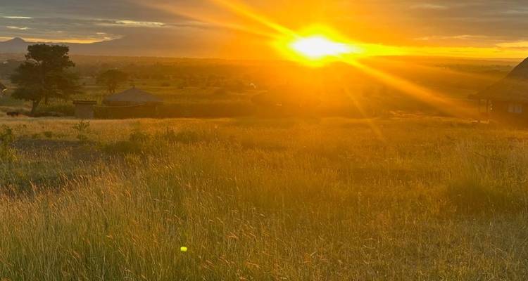 Intensiver goldener Sonnenaufgang über grüner Savanne mit starkem Linsenlichteffekt.