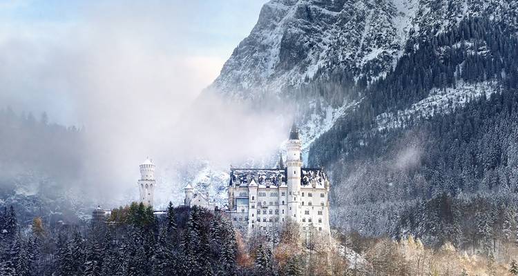 Das schneebedeckte Schloss Neuschwanstein erhebt sich im Winter aus einer nebligen Alpenlandschaft.