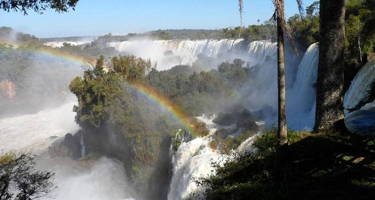 Arc-en-ciel se dessinant au-dessus des cascades brumeuses des chutes d'Iguazu entourées d'une végétation dense.