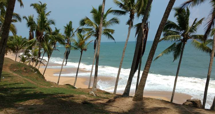 Playa arenosa bordeada de palmeras con olas suaves y un mar azul verdoso.