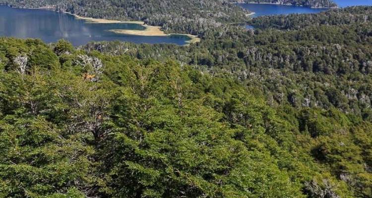 Une épaisse forêt verte s'étend sur les collines avec plusieurs lacs bleu profond visibles à distance.